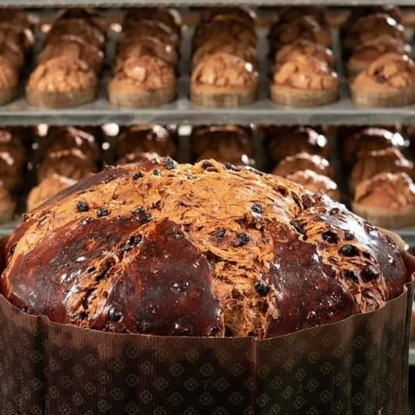 Panettoni